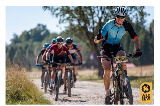 Mobirise